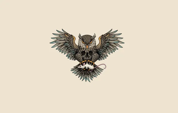 Owl, bird, mouse, light background, owl