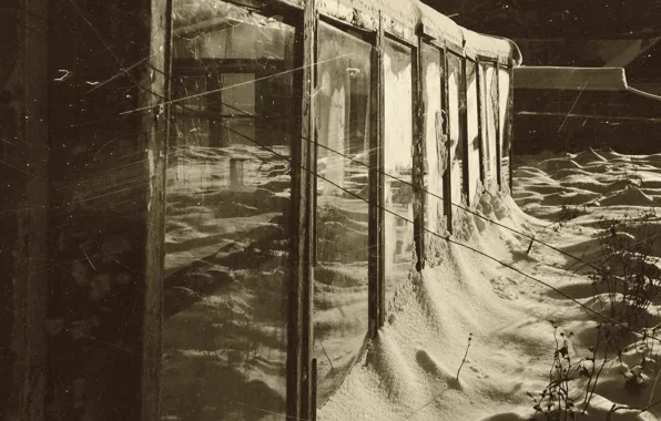 Winter, Sepia, the garden, vintage, fading