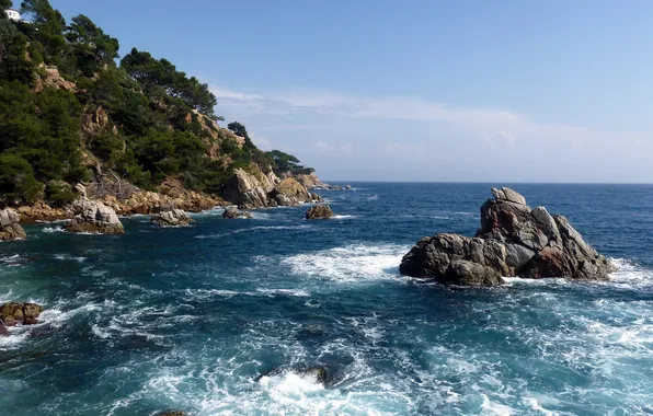 Sea, wave, the sky, trees, mountains, rocks