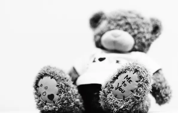 Picture black and white, bear, plush