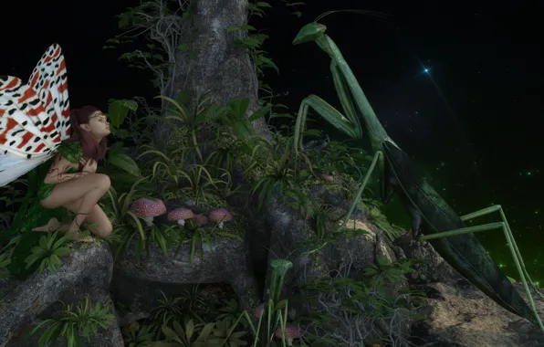 Nature, fantasy, fairy
