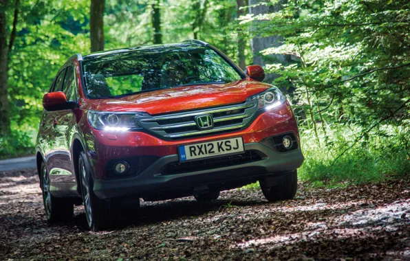 Red, Honda, CR-V, (2012), Innature