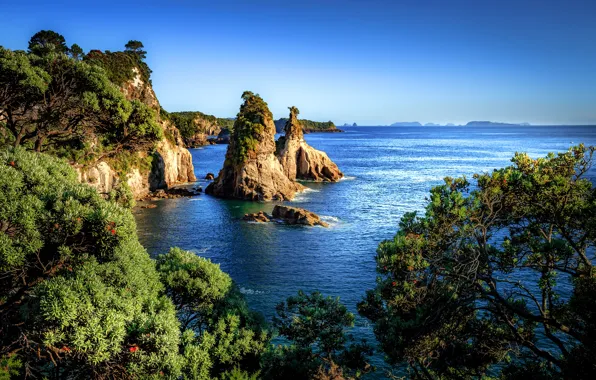 Sea, the sky, the sun, trees, stones, rocks, coast, New Zealand