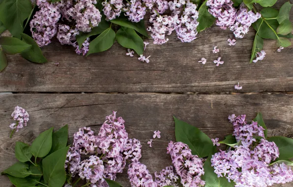Flowers, wood, flowers, lilac, lilac