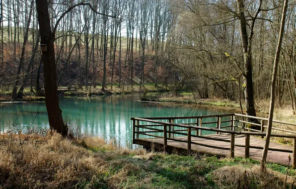 Lake, pond, birdhouse, the bridge