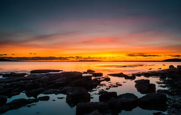 Sea, sunset, reflection, stone, horizon, orange sky