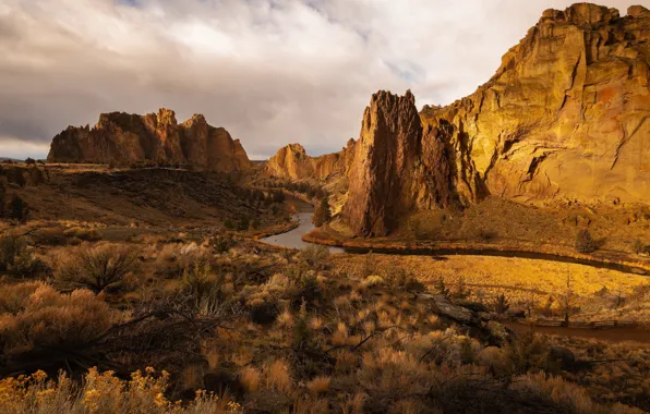The sky, clouds, mountains, branches, river, rocks, vegetation, desert