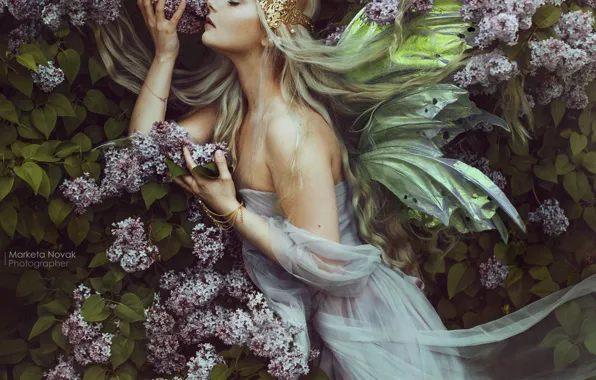 Picture girl, pose, wings, dress, fairy, wings, lilac, closed eyes