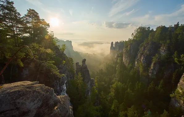 Forest, the sun, rays, mountains, rocks, dawn, hills, dal