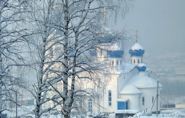 Winter, snow, trees, temple