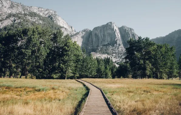 Field, trees, mountains, track