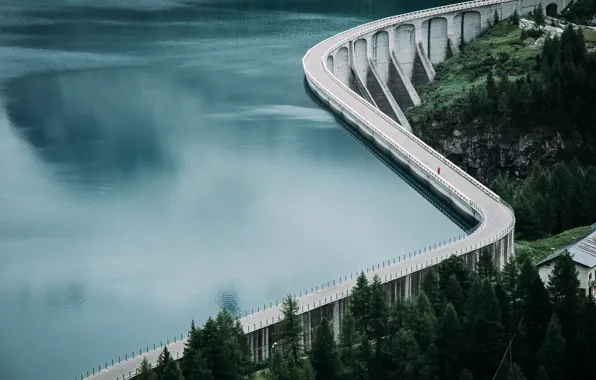 Picture forest, water, lake, dam, reservoir