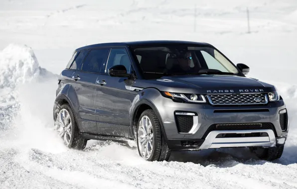 Picture car, SUV, Land Rover, Range Rover, car, the front, Evoque, suv