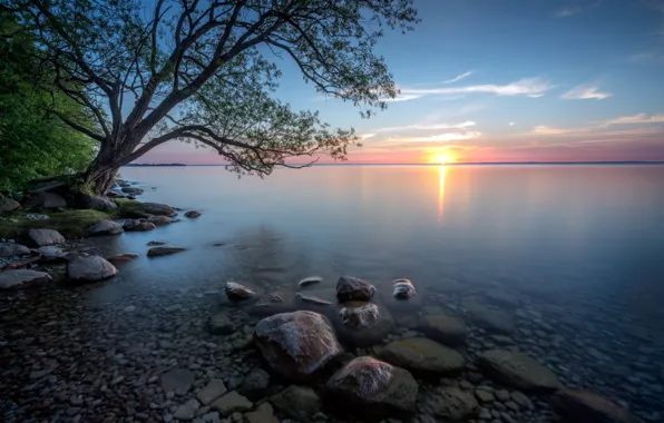 The sun, sunset, river, stones, tree