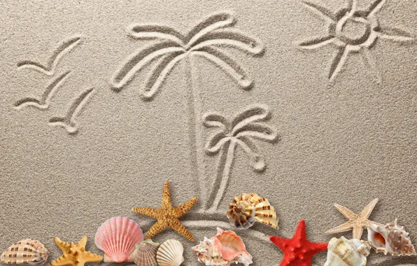 Sand, figure, shell, texture, sand, drawing, starfish, seashells