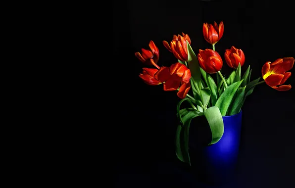 Flowers, bouquet, tulips, red, vase, black background