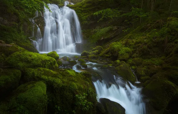 Picture forest, river, stones, France, waterfall, moss, cascade, France