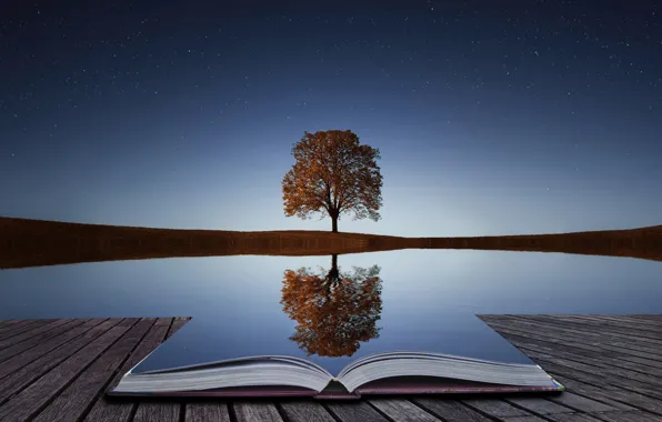Water, reflection, tree, book