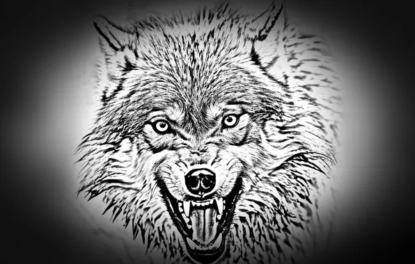 Fantasy, wolf, predator, grin