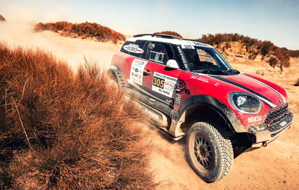 Sand, Red, Auto, Mini, Dust, Sport, Desert, Machine