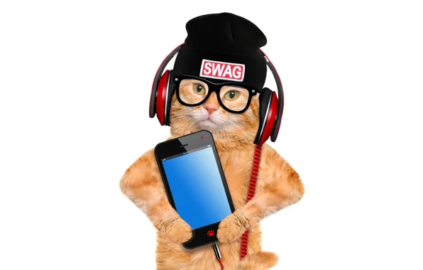 Picture cat, hat, photoshop, humor, headphones, red, glasses, white background