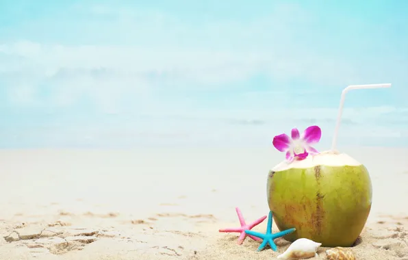 Sand, sea, beach, summer, stay, coconut, cocktail, shell