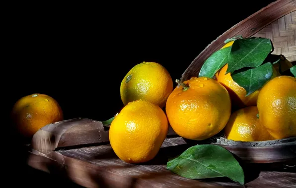 Leaves, drops, light, Board, shadows, black background, still life, tray
