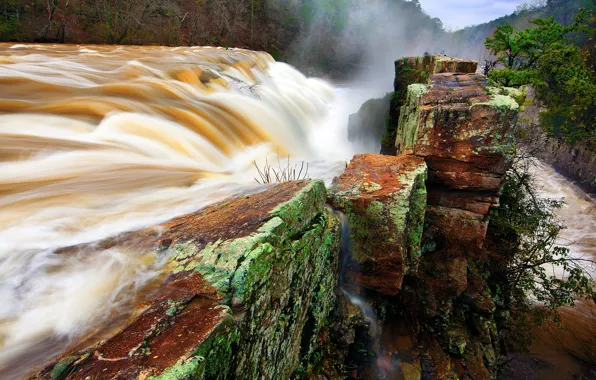 Nature, river, stones, waterfall, stream, dam, the bushes