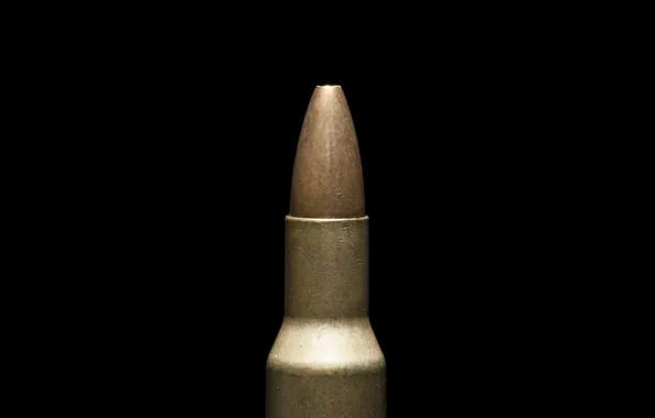 Picture bullet, cartridge, weapon, war, macro, shoot, danger, bullet