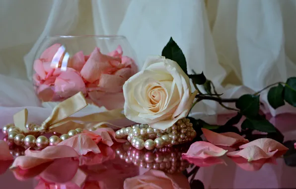 Rose, necklace, petals, fabric