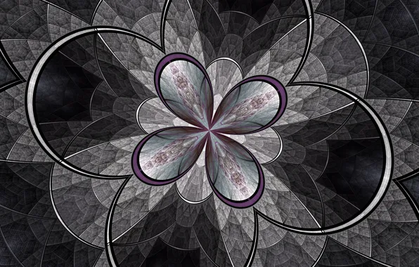 Flower, line, pattern, arc, fractal