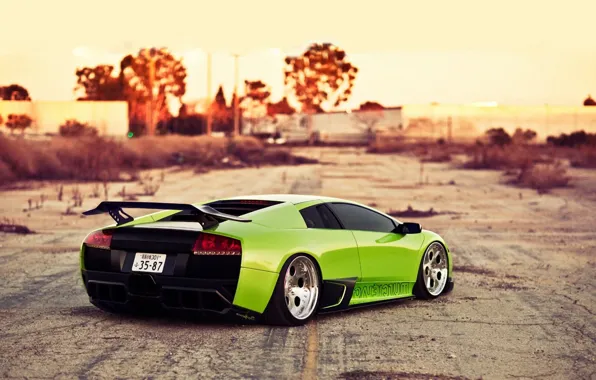 Picture green, Lamborghini, Auto