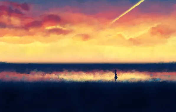 The sky, girl, clouds, sunset, silhouette, tall grass