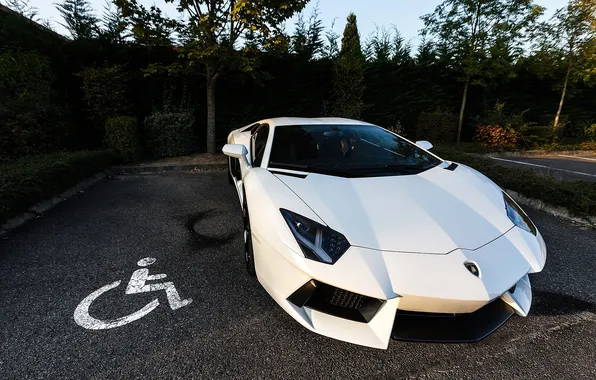 Picture white, Parking, white, lamborghini, the front, parking, aventador, lp700-4