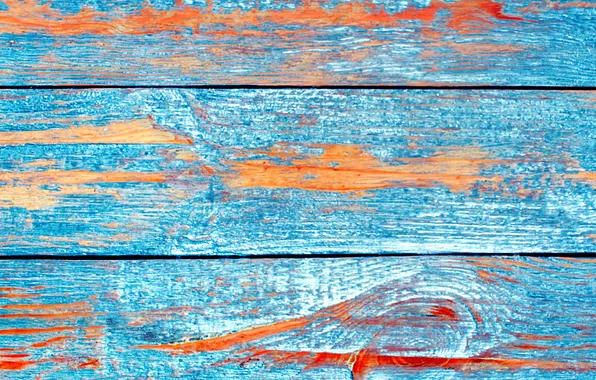 Tree, Board, paint, texture
