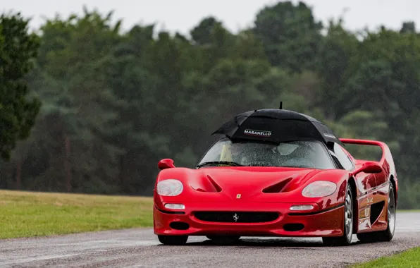 Picture umbrella, rain, the situation, sports car, Ferrari F50