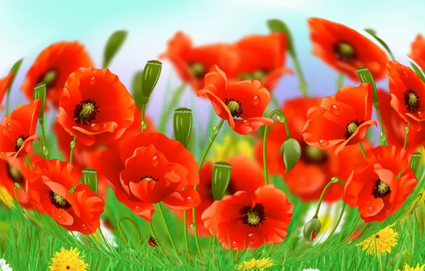 Maki, Graphics, Flowers