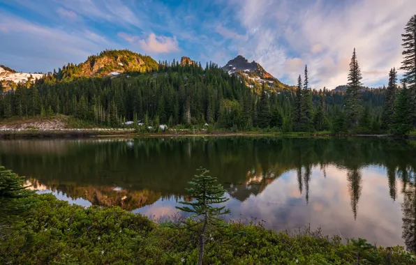 Forest, the sky, mountains, reflection, shore, ate, USA, pond