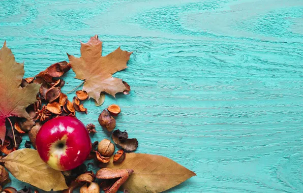 Picture autumn, leaves, background, tree, Apple, colorful, fruit, wood