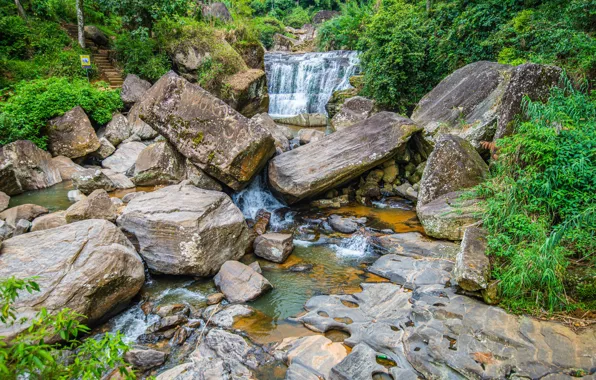 Forest, stones, waterfall, river, Sri Lanka, Nuwara Eliya