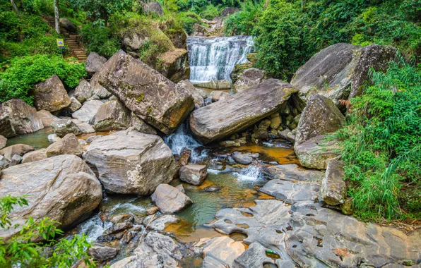 Picture forest, stones, waterfall, river, Sri Lanka, Nuwara Eliya