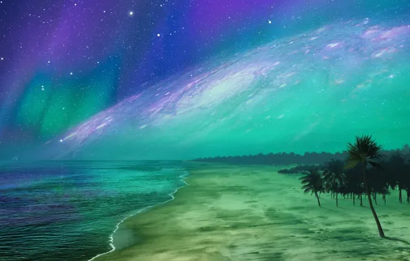 Sand, sea, beach, the sky, space, stars, light, trees