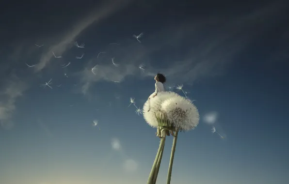 The sky, dream, clouds, light, flight, flowers, blue, rendering