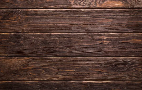 Trees, background, minimalism, wood, background