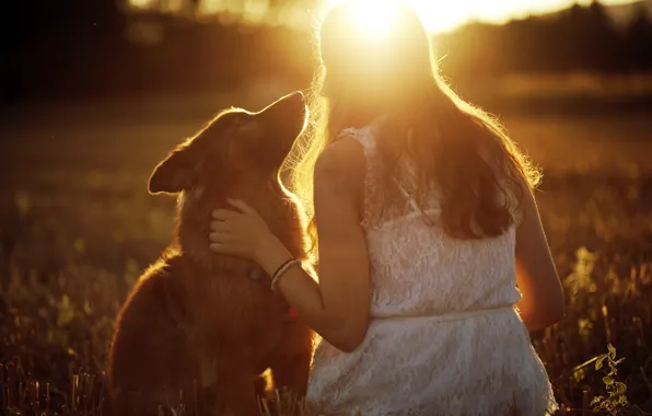 Picture girl, light, mood, dog