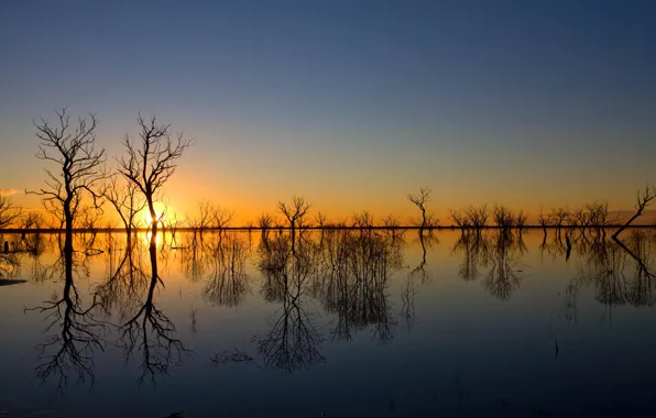 Picture the sky, water, trees, sunset, reflection, spring, the evening, spill