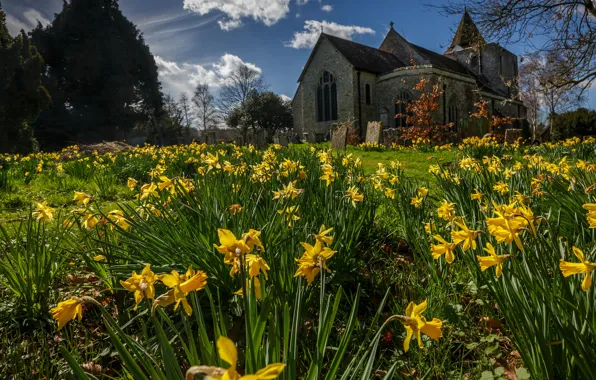 The sky, clouds, flowers, castle, glade, spring, yellow, Church