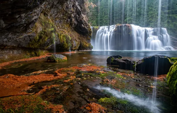 Forest, rock, river, waterfall, cascade, Lower Lewis River Falls, Lewis River, Gifford Pinchot National Forest