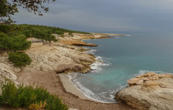 Picture sea, nature, shore