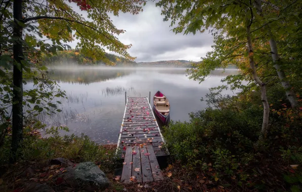 Bridge, lake, boat